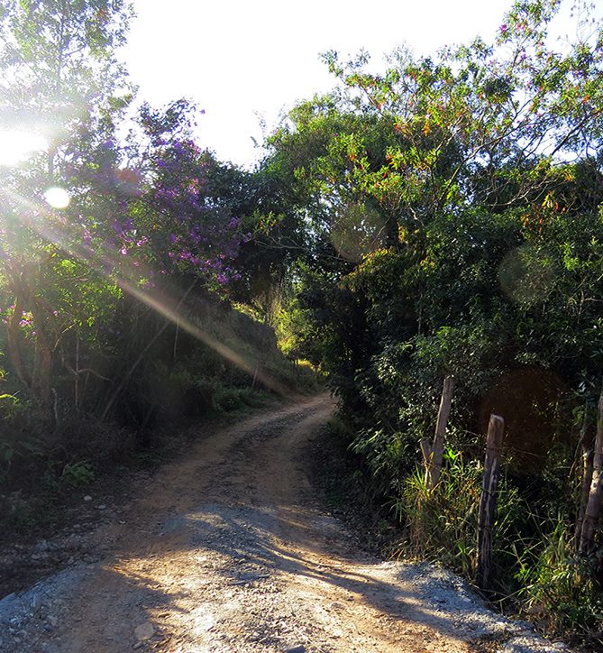Trecho de caminho antigo de terra e pedra, margeado por muros de pedra seca e vegetação.