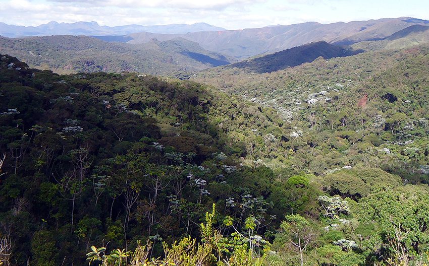 Vista da Serra do Gandarela, com campos rupestres no primeiro plano e serras cobertas de mata ao fundo.