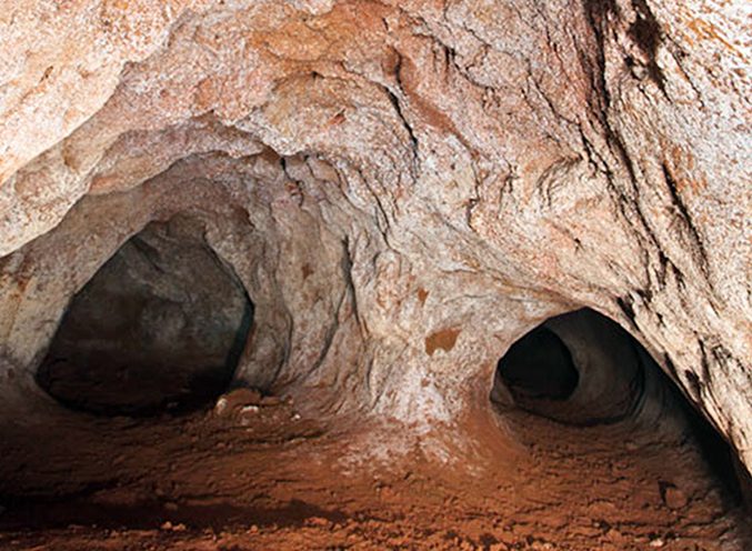 Entrada da paleotoca escavada na encosta, galeria larga e baixa aberta na terra.