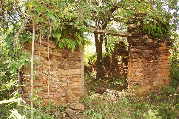 Ruínas de muros de pedra no meio da vegetação, no alto do espigão onde ficava o arraial de Viracopos.
